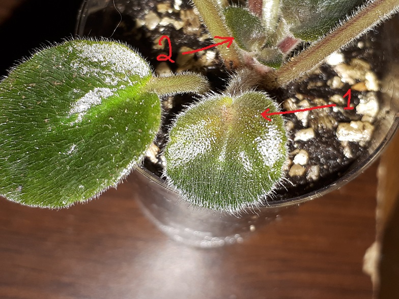 20180613_100916.jpg