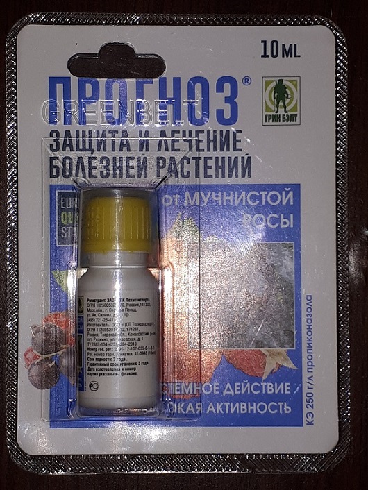 543443.jpg