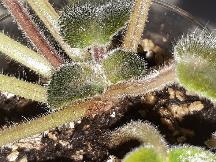 20180619_160501.jpg