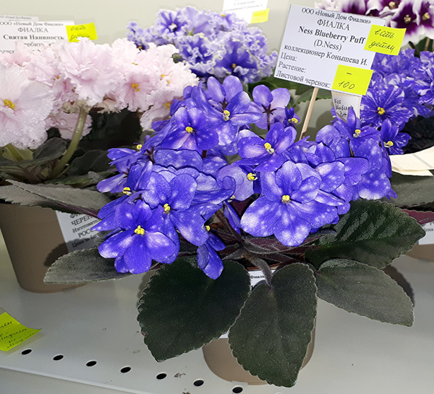 20180622_131513.jpg