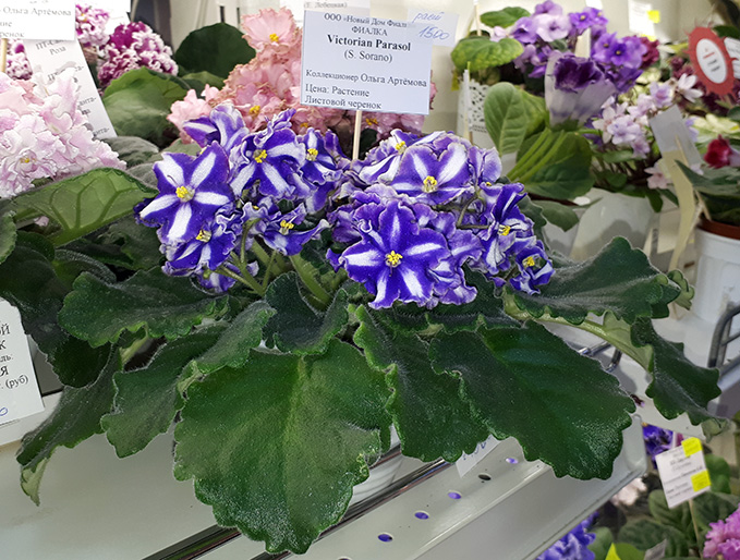 20180622_131536.jpg