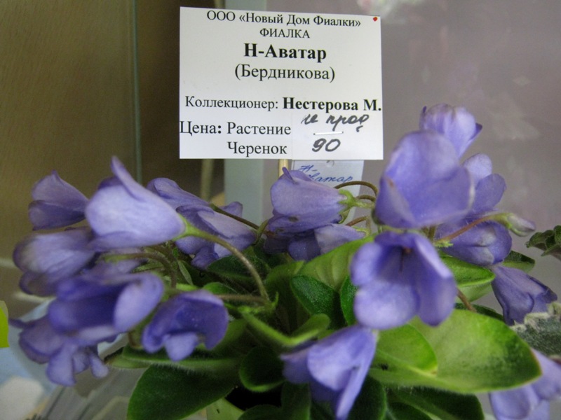 IMG_6464.JPG