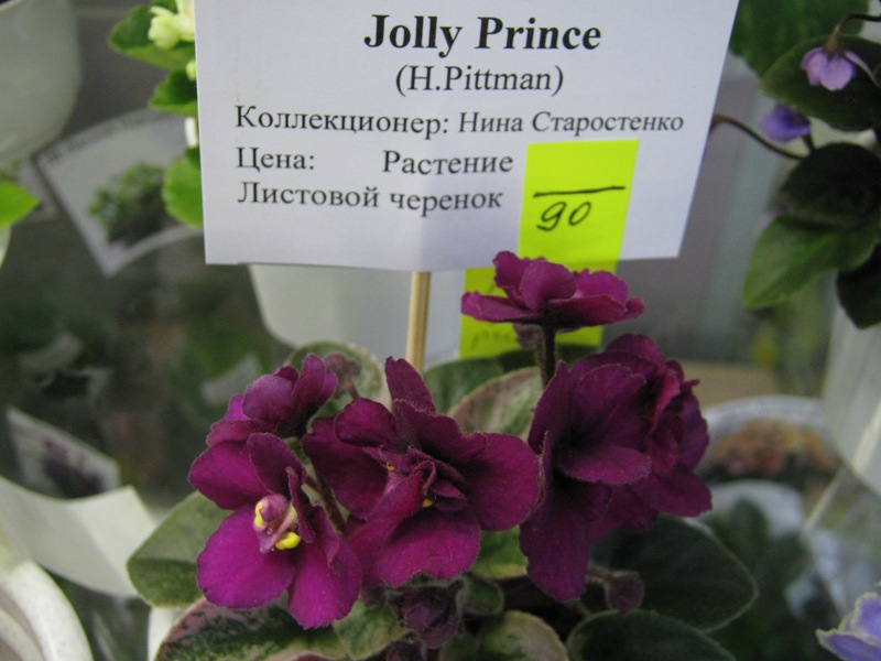 IMG_6485.JPG