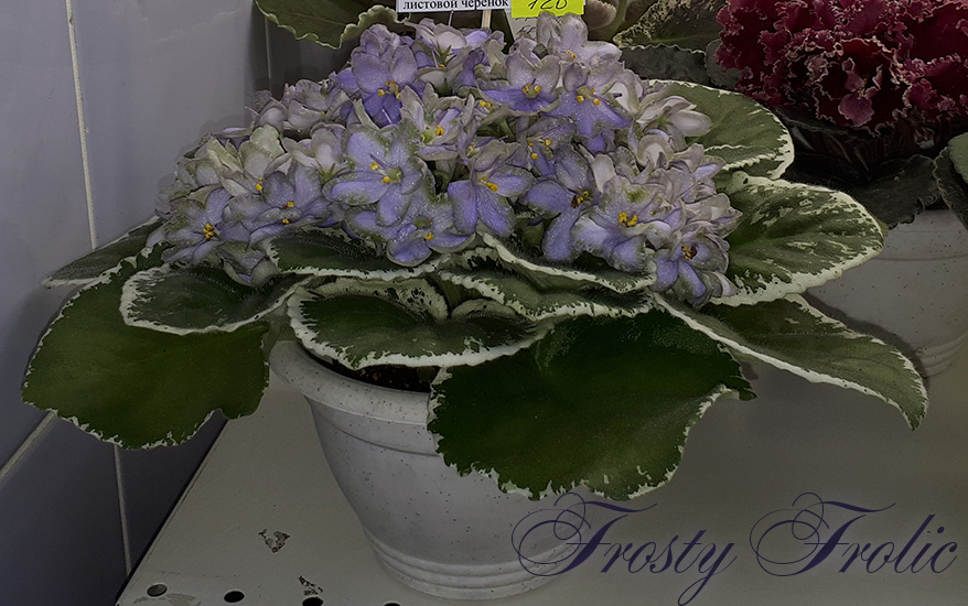 20180622_131347.jpg