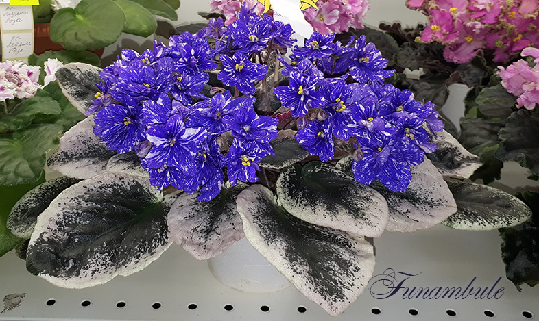 20180622_131756.jpg