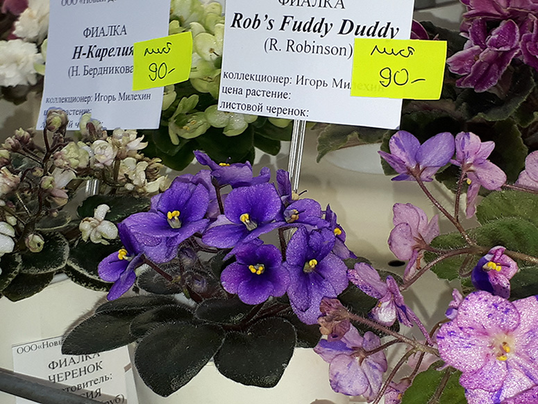 20180622_132150.jpg