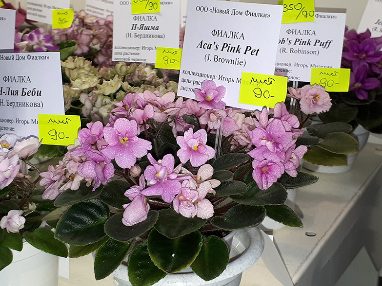 20180622_132235.jpg