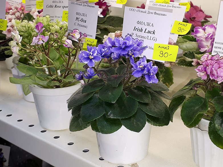 20180622_132254.jpg