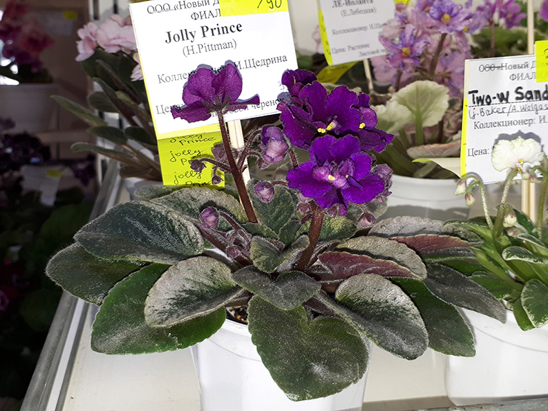 20180622_132434.jpg