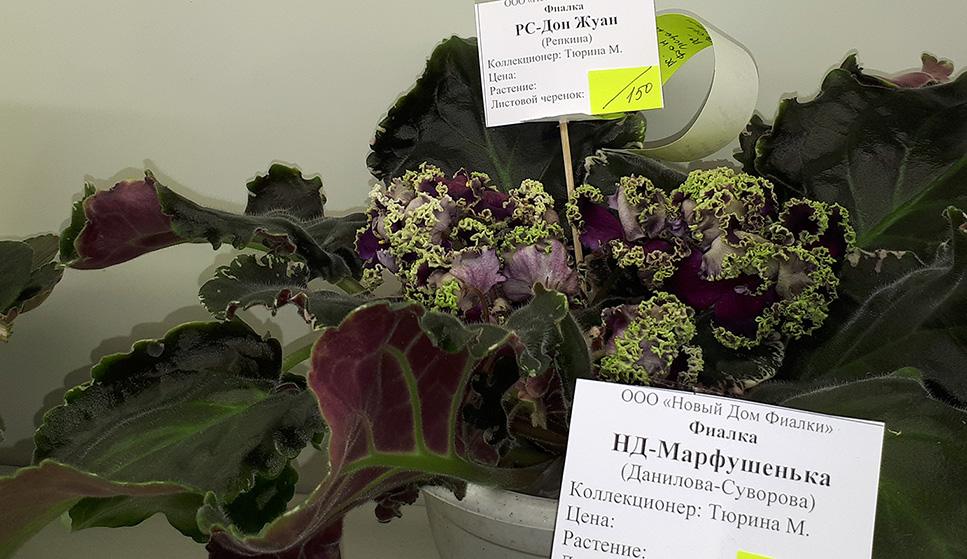 20180622_132948.jpg