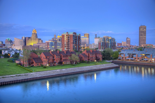 buffalo_401.jpg