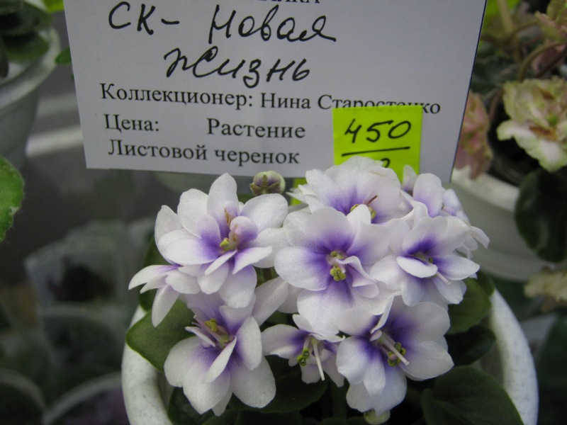 IMG_6757.JPG