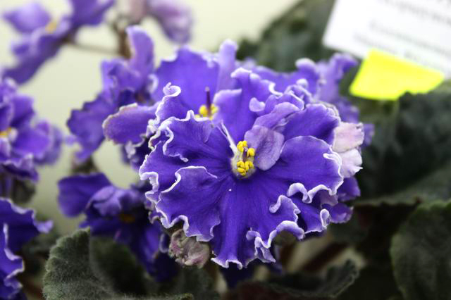 Resize of IMG_3831.jpg
