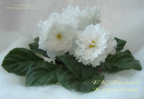 Ек-Белая Королева.jpgмин.jpg