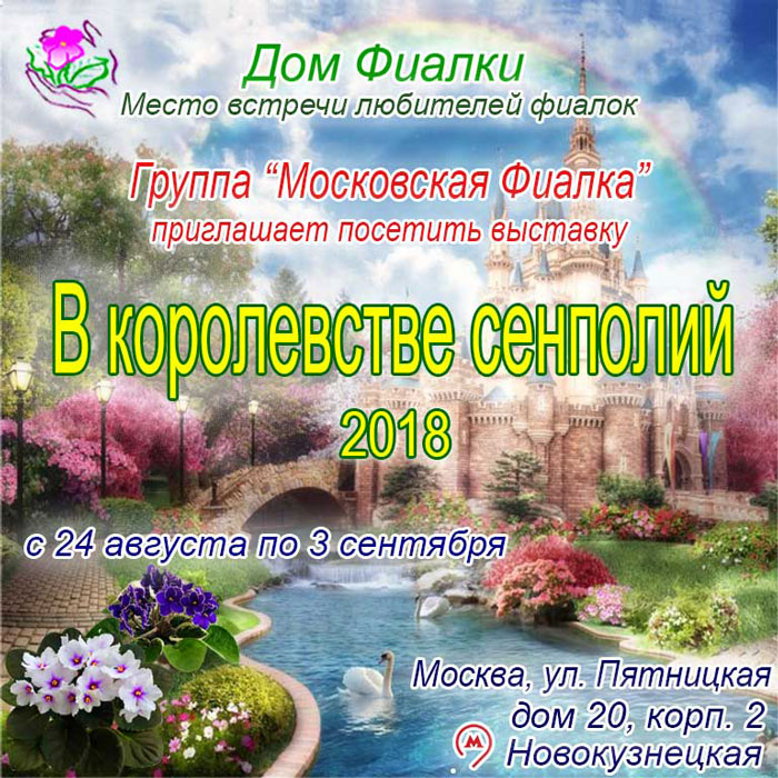 АФИША+.jpg