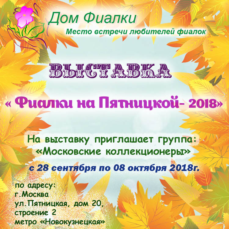 Фиалки на Пятницкой.jpg