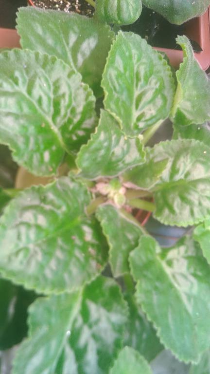 P_20180920_063419.jpg
