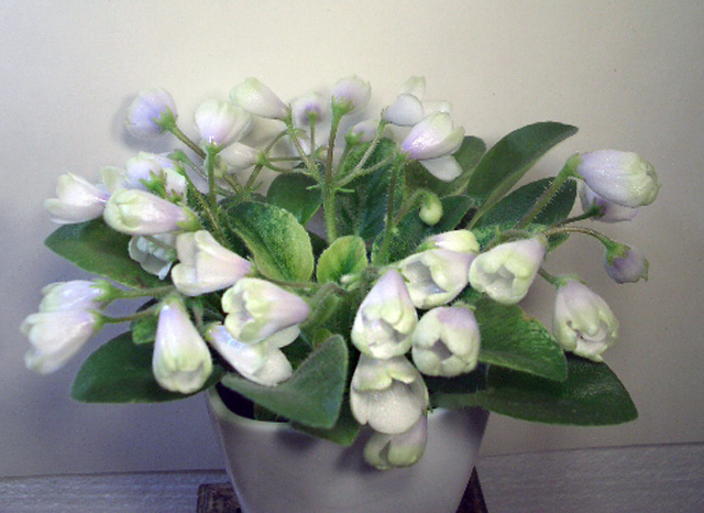 Н-Нейтири.JPG
