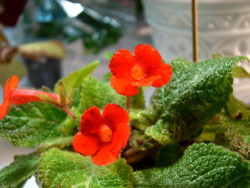 DSC01286.JPG