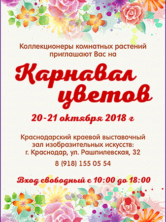 в интернет 3.jpg