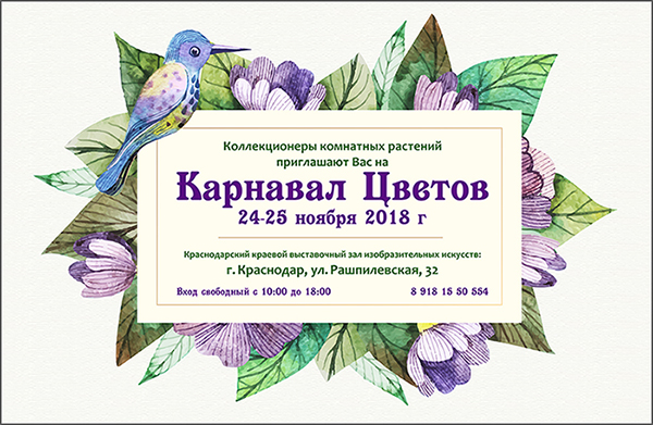 в интернет.jpg