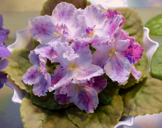 ЛЕ-Зорянка.jpg