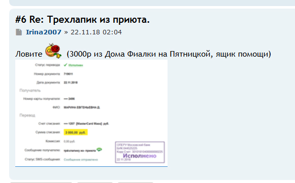 2018 Трехлапик из приюта 2.jpg