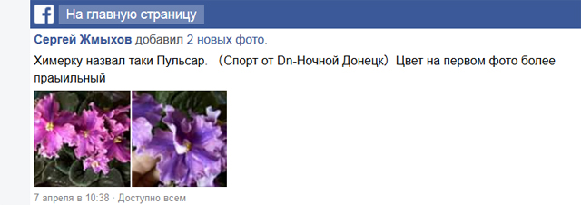 Screenshot_2018-12-06 Сергей Жмыхов.jpg