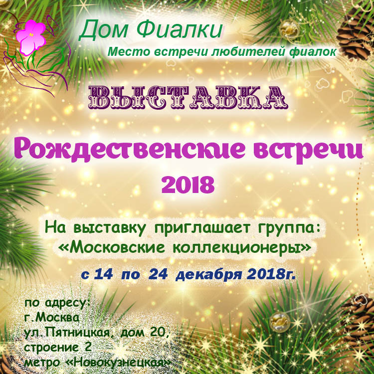 Рождественские встречи 2018.jpg