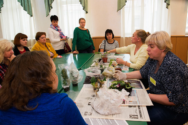 DSC_1398_1-ум.jpg