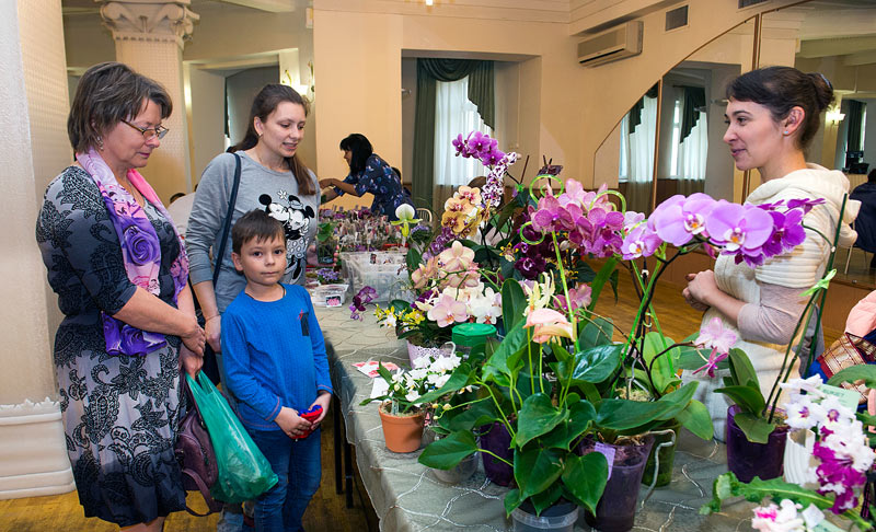 DSC_1469_1-ум.jpg