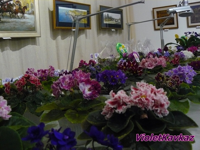 P1180260.JPG