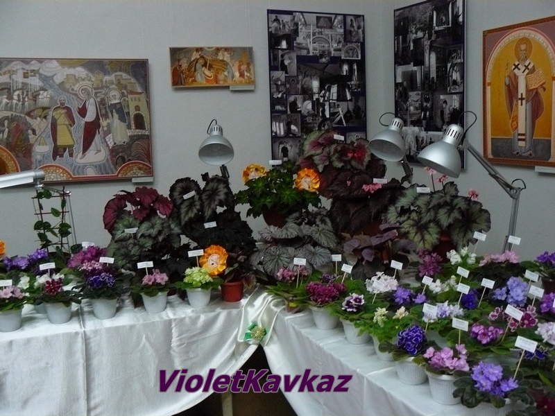P1170190.JPG