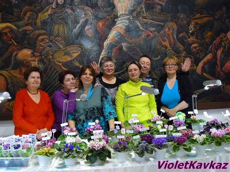 P1180286 VioletKavkaz.JPG