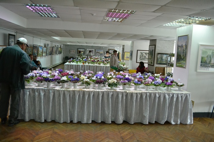 DSC_0107.JPG
