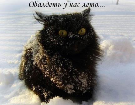 Лето.jpg