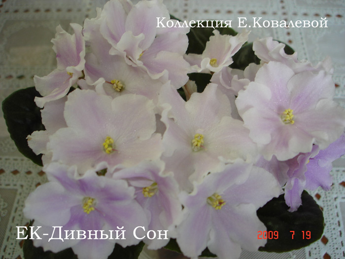 ЕК-Дивный-Сон11.jpg