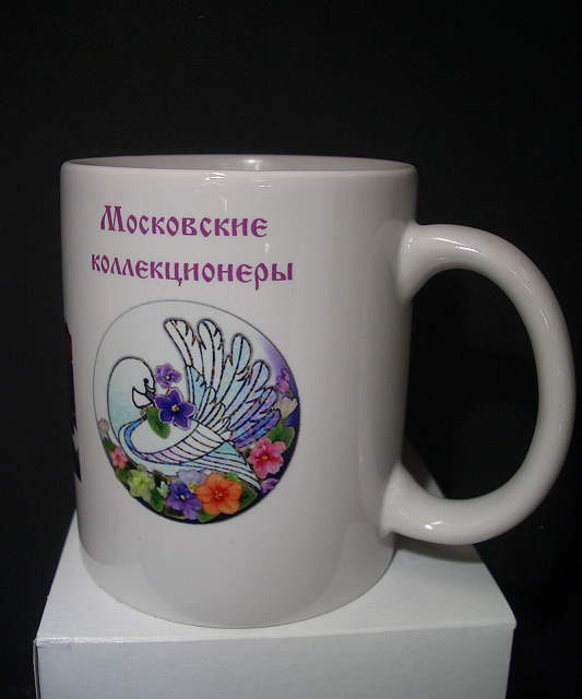 CIMG0499.JPG