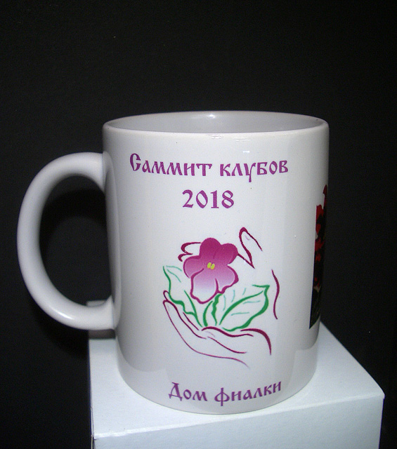 CIMG0497.JPG