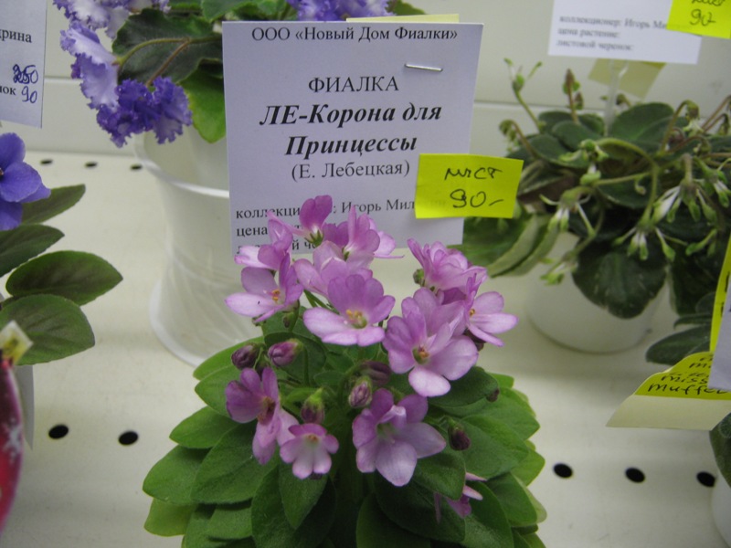 IMG_0626.JPG