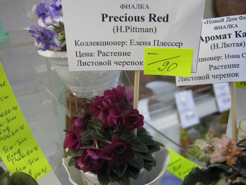 IMG_0568.JPG