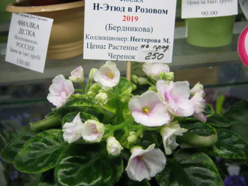 IMG_0685.JPG