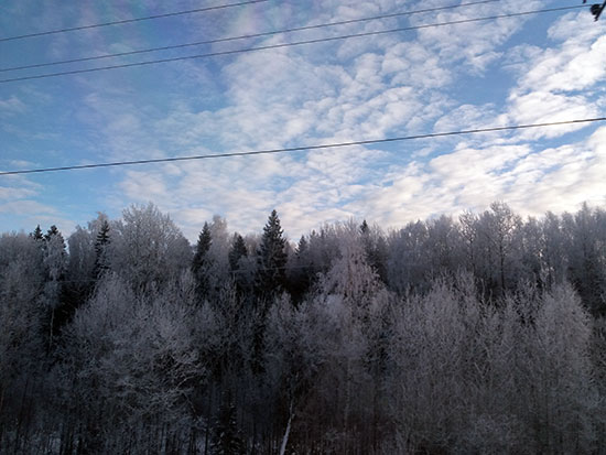 дорога.jpg