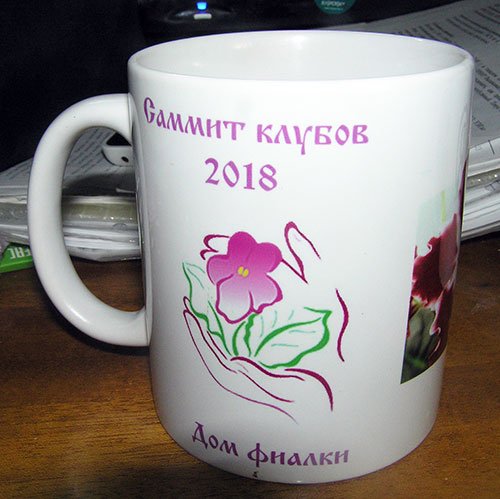 кружка-с-Саммита.jpg