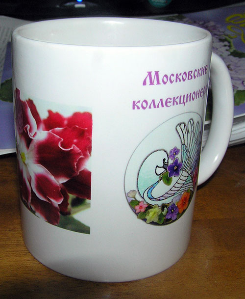 кружка-с-Саммита-2.jpg