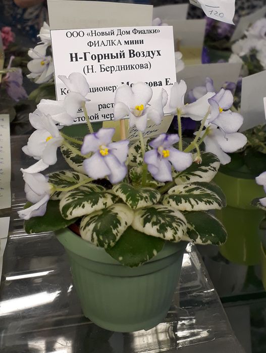 Горный.jpg