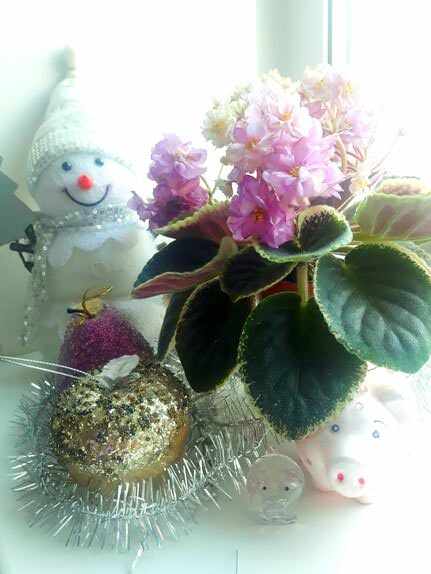 20190107_013230.A4S3z.jpg