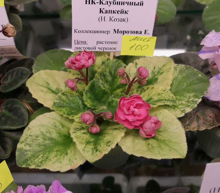 НК-Клубничный-Капкейк-(Морозова).jpg