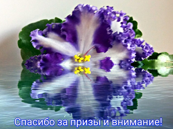 20180628_141048_1547725009994-707x530.jpg