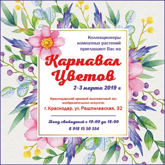 афиша.jpg